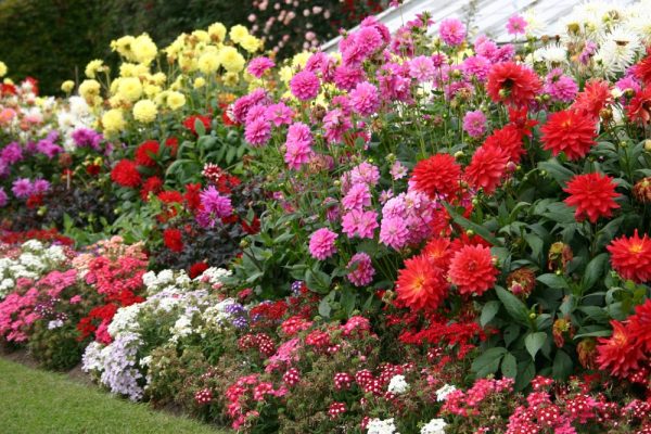 Groups, Clubs & Organizations